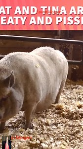 2.3K views · 24 reactions | Pat and Tina Leanne Morgan_R #comedy #leannemorgan | Leanne Morgan Fan | Facebook