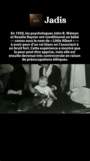 « Little Albert » : l’expérience qui a appris la peur
