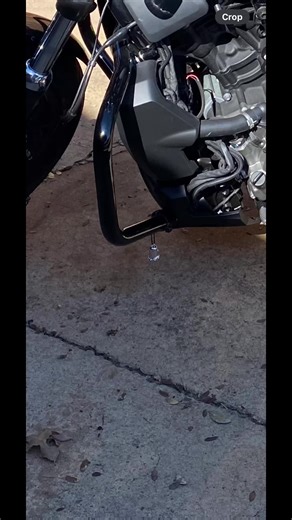 Gremlin got my bell 🤷‍♀️ #harleydavidsonmotorcycles #superstitions #girlswhoride #dfw #texas
