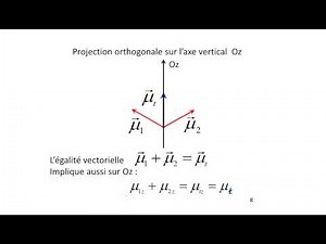chim101-capsule8-projection orthogonale