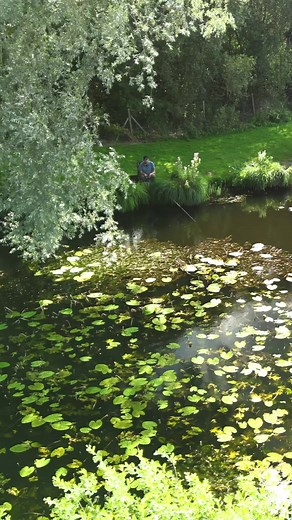 44K views · 399 reactions | BONUS drop! How did I fish the mere on FISHFLIX.online? Get lots of tips and tactics in a new ‘Fishcraft film’ We’ll also be back on Sunday with an epic big pike movie! | Martin Bowler | Facebook