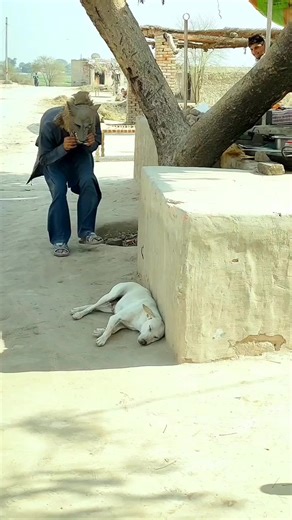 Prank with dog animal funny video #reels #viral