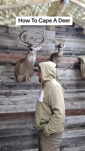 43K views · 202 reactions | How to cape a deer. Hope this helps! #deerhunting #deerseason | Top Pin Taxidermy | Facebook