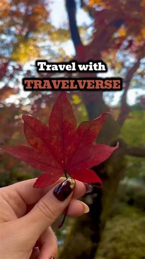 92 shares · 36 comments | ✨ Exploring Japan in autumn — my favorite...