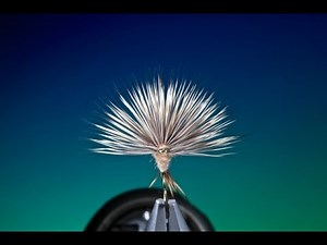 Fly Tying a Comparadun fly with Barry Ord Clarke