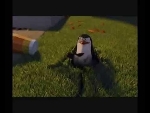 Pinguini di Madagascar in Tu non hai visto niente