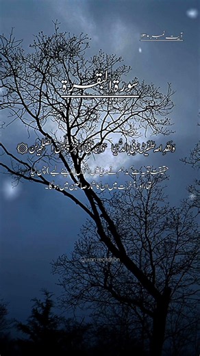 surah baqarah fast recitation#whatsappstatus #shortvideo #egzonibrahimi #quranrecitationquran