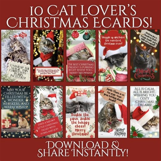 Cat Christmas Ecards: Funny Holiday Designs (digital Download) - Etsy