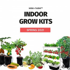 52K views · 66 reactions |  Start 2021 healthy with an Indoor Grow Kit! Save money on fresh veggies year round. Easy to use and works indoors & outdoors. Starting at $29 up to $149, there's a grow kit for everyone! | Mini-Farm Grow Kits | Facebook