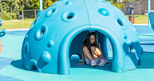 Cozy Dome Playground Climber - Landscape Structures