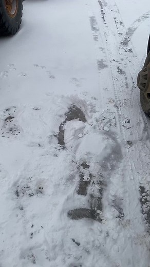 Unexpected Ice Slip: Hilarious Fail Compilation