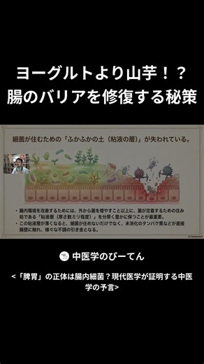 ヨーグルトより山芋！？ 腸のバリアを修復する秘策