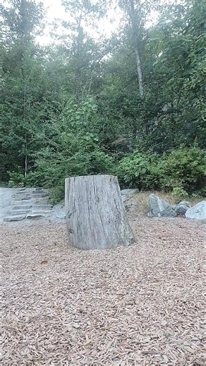 33K views · 443 reactions | 385.#canadiangirl #canadian #canada #tik_tok #trending #jump #weekend#tiktoker #challange #cool | Ppowderfluffgurl | Facebook