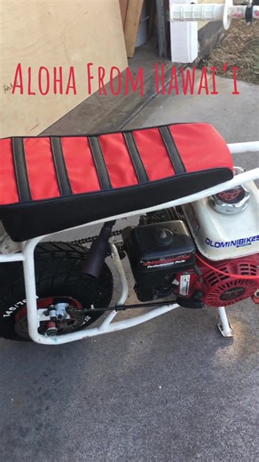 This is a Vintage Baja Motorsport’s DoodleBug (DB30). It’s about to receive a Predator 212cc Engine. #doodlebug #hawaiitiktok #hawaii #hawaiilife #alohafromhawaii