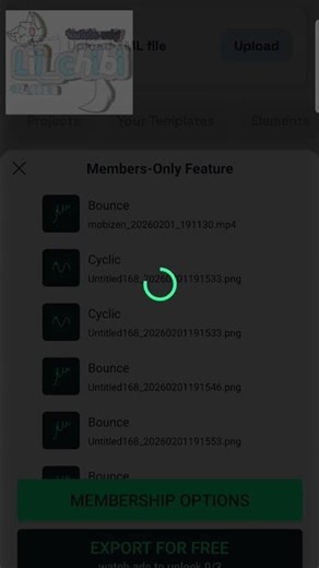 WHY DOES IT KEEP LOADING- BRO I HATE THIS!!!!!!!!!