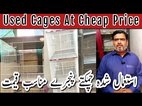 Used Cages Available At Cheap Price | Istimal Shuda Chamaktay Pinjray Munasib Qeemat me | Cage Price