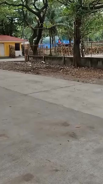 Philippine marine corps