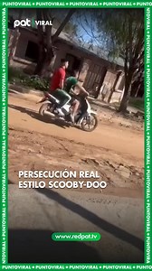 Una reciente persecución policial a un motociclista en la vida real fue comparada por los testigos con una escena del dibujo animado de "Scooby-Doo" debido a las maniobras evasivas y los giros inesperados. Aunque la escena tuvo un toque cómico por el peculiar estilo de la huida, las autoridades lograron finalmente interceptar la motocicleta. Este suceso resalta la a veces inusual naturaleza de los incidentes de seguridad ciudadana #PatBolivia #PatDigital #Persecución #ScoobyDoo #Moto #Policía | 