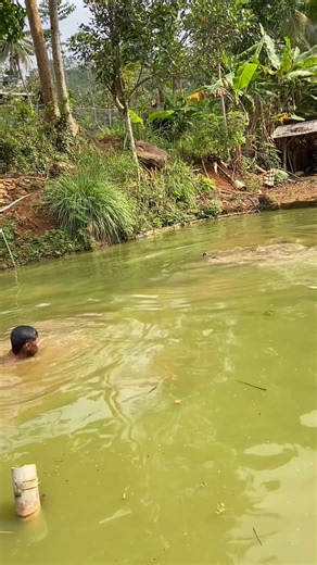 52K views · 802 reactions | 藍藍藍藍 | Firman Real | Facebook