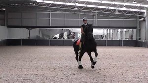 1.9K views · 60 reactions | Our 8 part mini video series showing...