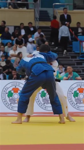 World Class Judo Techniques and Highlights