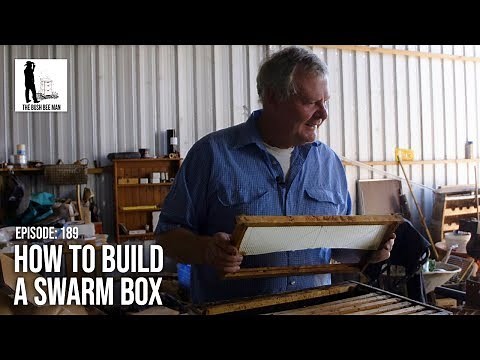 How to Build a Swarm Box - The Bush Bee Man