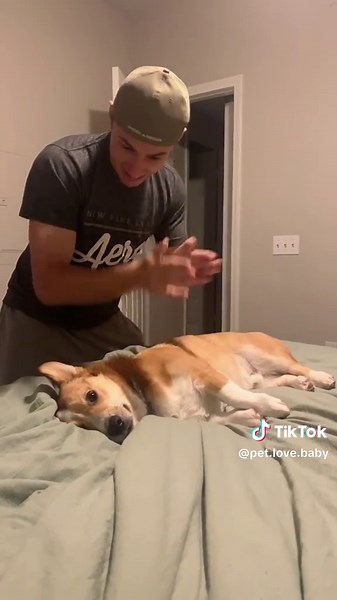 Dramatic Dog Moments That Will Make You Laugh