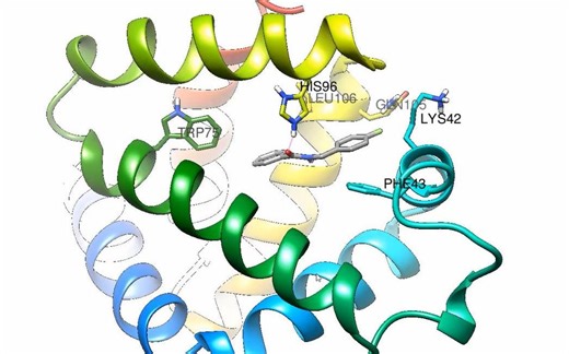 【分子对接】UCSF Chimera分子对接+结果可视化一条龙软件 中文字幕