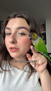 15K views · 28 reactions | The makeup tutorial you didn't know you needed. 列諾 Products used:  Infinity Waterproof Eyeliner (Moss Green Matte)  Brilliant Eye Brightener in Shenna (Mint Green Shimmer) and Estrella (White Pearl Shimmer)  Liquid Lash Extensions Mascara in Donna (Green) #green #monochromaticmakeup #makeupinspo | Thrive Causemetics | Facebook