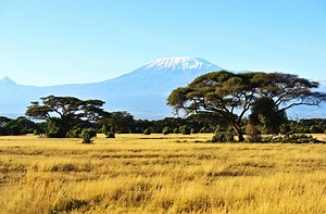 Amboseli National Park Travel Guide - Expert Picks for your Vacation