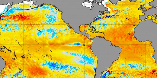 What record-setting ocean temps mean for sea life and 2024 hurricane season