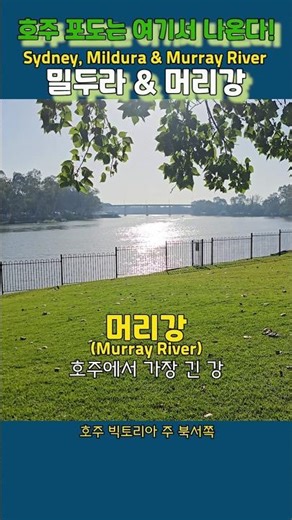여기가 호주라고? 밀두라 머리강의 풍경 #여행 #박정영 #Is this Australia? The scenery of the Mildura Murray River #shorts