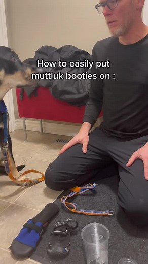 Time-Saving Tip for Putting Dog Boots On Quickly