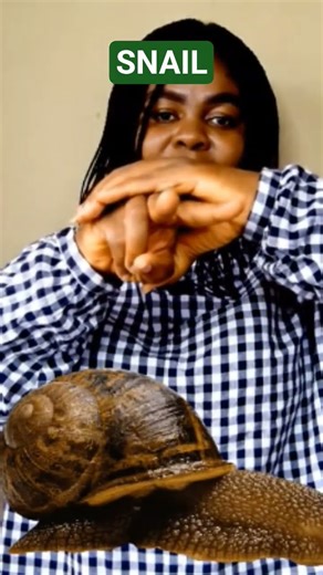 How to sign Snail #signlanguage #americansignlanguage #asl