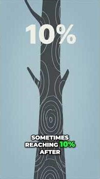 Save Money: Smart Car Insurance Strategies Revealed! #shorts