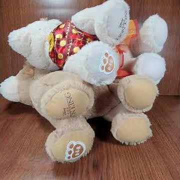 Build A Bear Lion King Plush Simba Nala