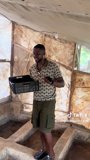 Insect Farming for Sustainable Animal Feed Production