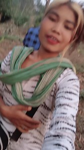 Panterang bala | Jcb Sangma