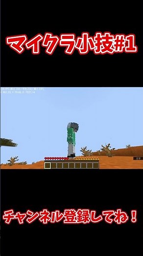【初心者必見?!】描画距離を使った瞬間移動のやり方?!【マイクラ小技】#マイクラ #マイクラjava版 #エンドラrta #マイクラ小技 #マイクラサバイバル #パールハング#エンダーパール