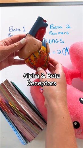 Remember these memory tricks for your pharmacology class! 📚✨ Alpha vs. Beta Receptors: 🤏 Alpha Receptors = CONSTRICT (ABCD: Alpha = Constrict) 👐 Beta Receptors = DILATE (ABCD: Beta = Dilate) Beta 1 vs. Beta 2 receptors: 🫀 Beta 1 (B1) Receptors are mainly in the HEART (B1 think 1 heart) 🫁 Beta 2 (B2) Receptors are mainly in the LUNGS (B2 think 2 lungs) Pharmacology is hard, but YOU GOT THIS! Pharm Flashcards👉 https://nurseinthemaking.co/PharmFlashcards #MedMath #DosageCalculation #NursingPh