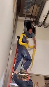 6.3K views · 14 reactions | SNAKE RESCUED: The 12 foot, 150 lbs Python that went missing in Louisiana's largest mall was found safe. >> https://mynbc15.com/news/offbeat/12-foot-python-escapes-inside-louisianas-largest-mall (Video courtesy Blue Zoo Aquarium) | WPMI NBC 15 News | Facebook