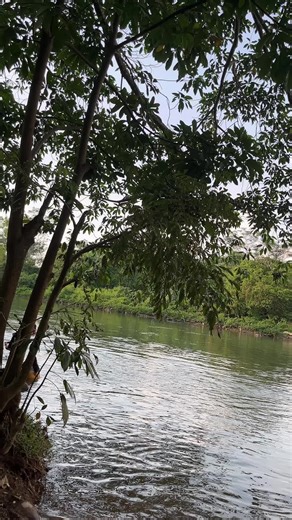 Videos de yovani solis (@yovani.solis84) con “sonido original - DANIEL FLORES SANTOS”