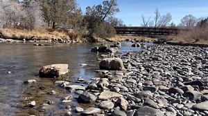 33K views · 336 reactions | The best kind of live stream Ridgway State Park | Colorado Parks and Wildlife | Facebook
