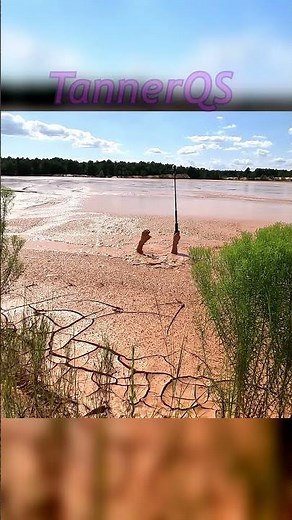 jumping into bottomless quicksand #quicksand #mud