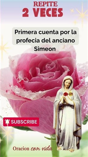 Rosa_mistica_rosario_rosa_lagrimas_oh_jesus_escucha_nuestros_ruegos#rosamística #maria #rosario