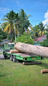 14K views · 68 reactions | Jumping car, Racing Boat Aura Farming Pacu Jalur ‍♂️ #pacujalur #culture #indonesia | Alves Pangean | Facebook