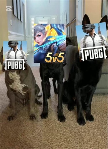 I roast the pubg game free fire is a best game ☠️☠️💀 and funny mod 😀😄