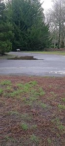 16K views · 696 reactions | What we look at affects what our dogs...