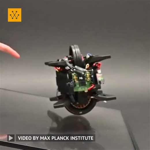 6.7K views · 133 reactions | The Wheelbot is a wheel unicycle...