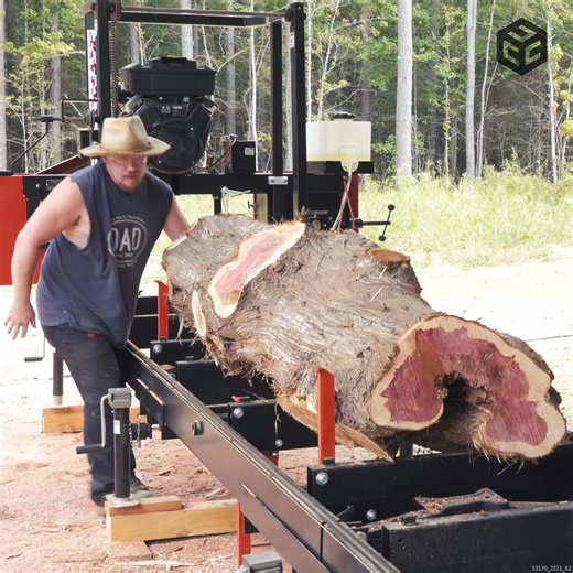 How Much Wood Can a SHATTERED Ant-Infested Log Yield? Learning To Make the Most Out Of a Challenging Log. #lumberjack #lumber #milling #logging #diybuild #diy #woodwork #woodenfurniture #birdhouse #logginglife #satisfying | Jay's Custom Creations